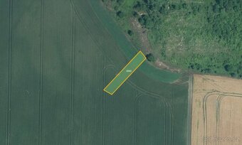 Zemědělská půda, prodej, Nenkovice, Hodonín - 3