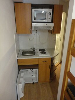 Pronájem 1+kk, ulice Údolní, centrum, 30 m2, klidný - 3