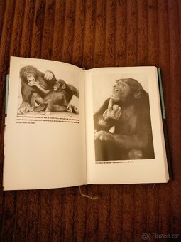 Dobráci od přírody - 3