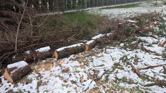 Palivové dřevo - 3