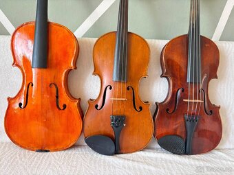 Tři staré viola - 3