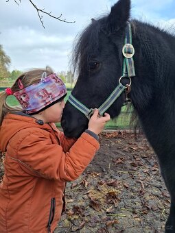 Klisna pony - 3