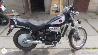 Aprilia red rose 50 - 3