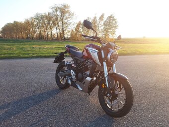 Honda CB125r Neo Café - 3