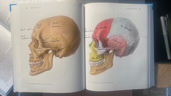 ANATOMIE 1 - Radomír Čihák - 3