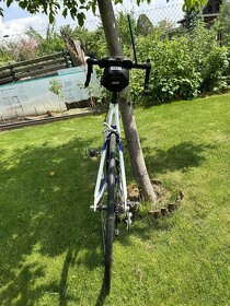 Kolo Wilier - 3