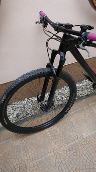 Superior XP 29" Matte Carbon/SLX/DT SWISS - 3