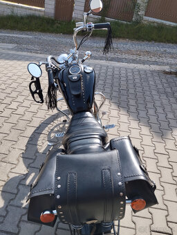 Suzuki LS 650 Savage - 3