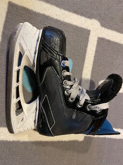 Brusle Bauer nexusN2700 vel. 36,5 EUR - 3