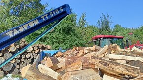 Palivové dřevo - 3