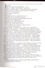 Kniha NEKAMENUJTE PROROKY - 3