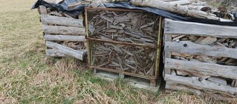 Palivové dřevo - 3