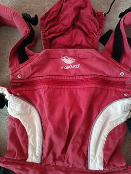 Manduca - 3