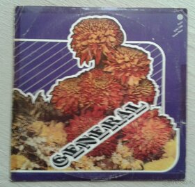 LP – zahraniční pop, od 50 Kč - 3