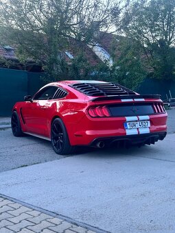 Ford Mustang GT 350 Shelby (USA) - 3