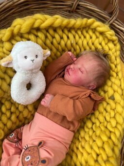 Reborn miminko Alyssa - 3
