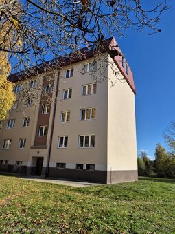 Pronajmu byt 2kk v Dobrušce - 3