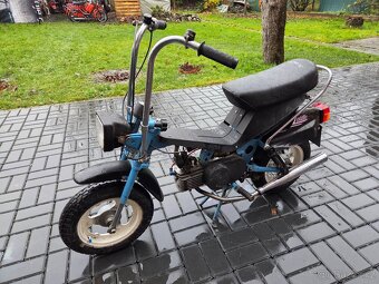 MOKIK Babetta - STELLA vzácná - 3