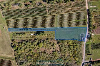 Prodej věhlasné nemovitosti Malovaného sklepa v Šatově, mezi - 3