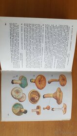 Kapesní atlas hub - 3