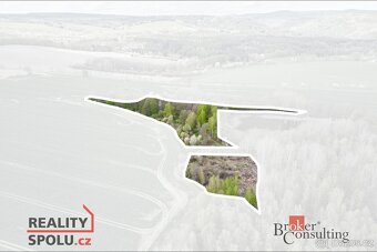 Prodej, pozemky/vinice/sady, 17330 m2, Hřebeny, Josefov, Sok - 3
