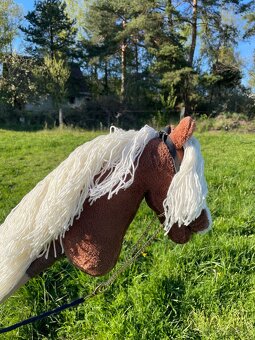 Hobby horse - 3