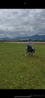Veľmi mila Pony kobylka - 3