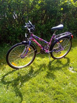 Frera 24" - 3