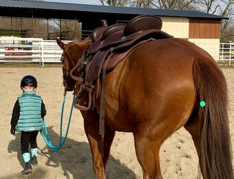Yellowstobe doubles saddle - 3
