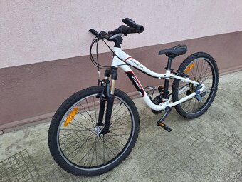 kolo Specialized 24" - 3