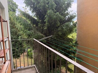 Pronájem bytu 2+1 100 m² Brno, Bezručova - 3