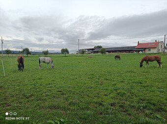 Ustájení Všechovice u Tišnova - 3