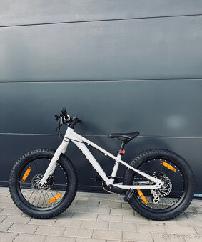DĚTSKÉ KOLO "20" GIANT - 3