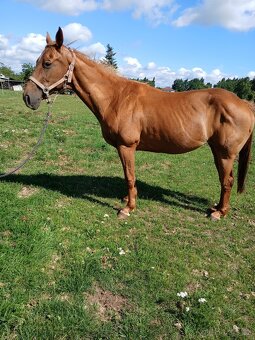 Qh - 3