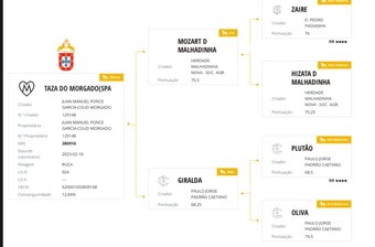 Lusitano klisna s PP - 3