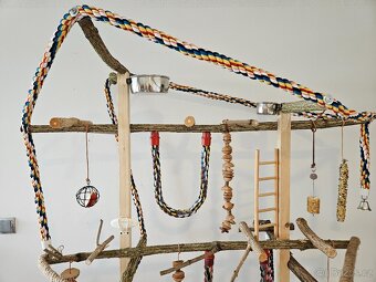 Ptačí Strom pro papoušky - 3