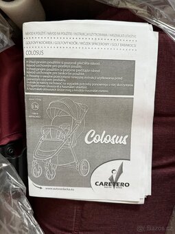 Colosus Burgundy - 3