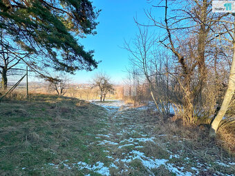 Ovocný sad 5642 m2, Kotojedy - 3