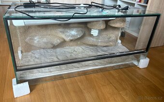 Terarium - 3