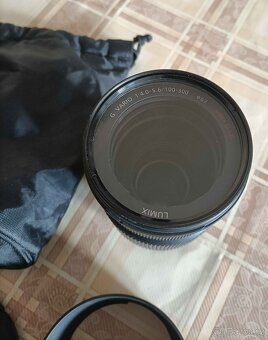 Panasonic Lumix 100-300 - 3