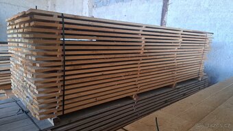 Suché fošny 5.5 cm - 3