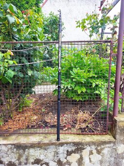 Štikový prut Garbolino - 3