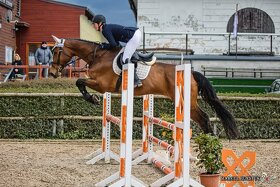Prodám béžovou sadu equiline - 3