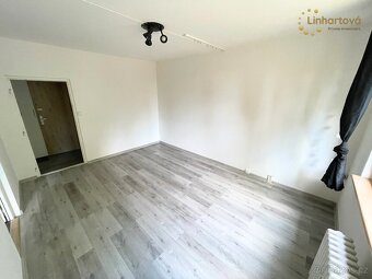 Pronájem bytu 1+1 38 m² Dlouhá, Aš - 3