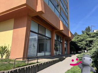 Prodej obchodní prostory, 218 m2 - Kralupy nad Vltavou - Lob - 3