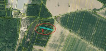 Prodám lesní pozemky v k.ú. Chvalešovice - 3