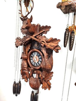 Hezke, kukacky, Schwarzwald - 3