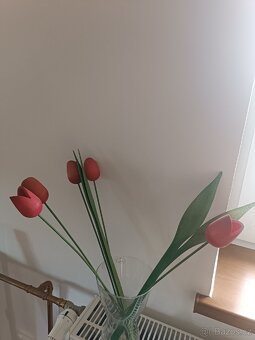 Drevěne tulipány - 3