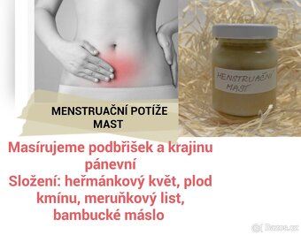 Léčivé domácí mastičky a tinktury - 3