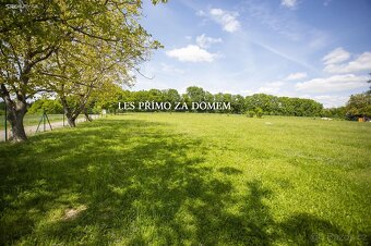 Stavební pozemek 1 400 m² na krásném místě u lesa - 3